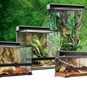 terrarios para reptiles